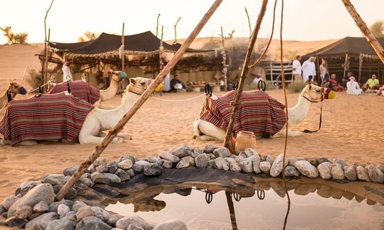 Bedouin Life 