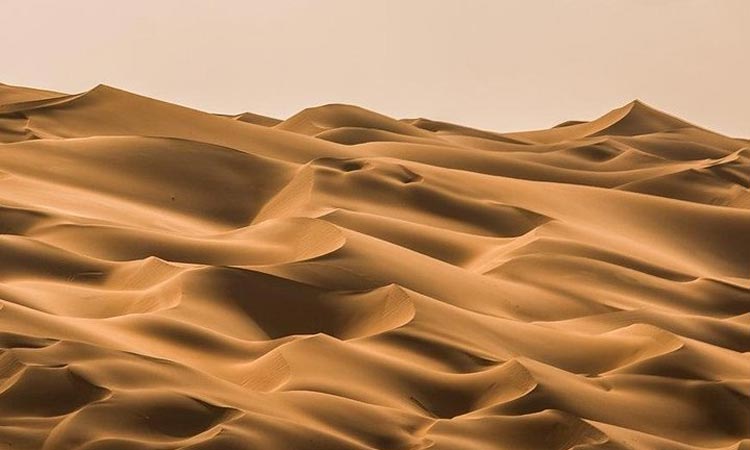 Liwa Desert Safari from Abu Dhabi