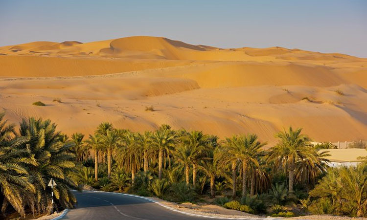 Liwa Desert Safari from Abu Dhabi