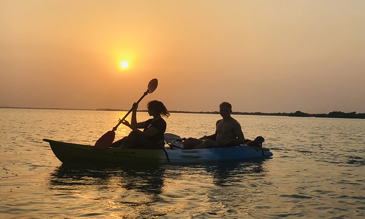 Mangrove Kayaking Tour